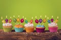 Cupcakes with candles Royalty Free Stock Photo