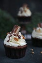 Cupcakes with chocolate