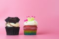 2 cupcakes chocolate and rainbow cupcake on pink background Royalty Free Stock Photo