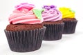 Cupcakes With Colorful Icing or Frosting Royalty Free Stock Photo