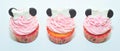 Cupcakes Royalty Free Stock Photo