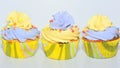 Cupcakes Royalty Free Stock Photo