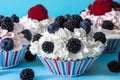 CUPCAKES WITH CREAM AND BERRIES BLACKBERRY, BLUEBERRY Royalty Free Stock Photo