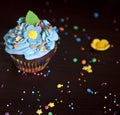Cupcakes with cream hat caken Royalty Free Stock Photo