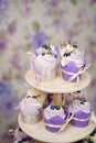 Cupcakes with cream in a paper tulip form, decorated with blueberries, rosemary, flowers, tied with a ribbon. Vanilla Royalty Free Stock Photo