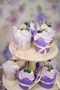 Cupcakes with cream in a paper tulip form, decorated with blueberries, rosemary, flowers, tied with a ribbon. Vanilla Royalty Free Stock Photo