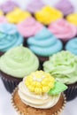 Cupcakes Cup Cakes With Colorful Icing or Frosting Royalty Free Stock Photo