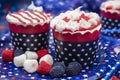 Decorated Cupcakes for the Fourth of July Celebration Royalty Free Stock Photo