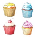 Cupcakes drawn by color pencils