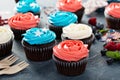 Cupcakes for the Fourth of July Royalty Free Stock Photo