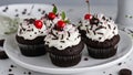 cupcakes with frosting oreo cupcakes, Cup cakes whipped cream delicious decorated chocolate sweet temptation Cupcakes