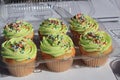 Cupcakes with green icing Royalty Free Stock Photo