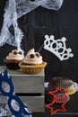 Cupcakes like a ghost. Halloween dessert. Royalty Free Stock Photo