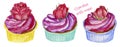 Cupcakes with pink cream and a scarlet rose in the cups. Watercolor hand-painting set of elements.