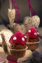 cupcakes with pink cream and white roses Royalty Free Stock Photo