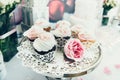 Cupcakes on plate on buffet table. Colorful beautiful cupcakes with cream Royalty Free Stock Photo