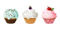 Cupcakes realistic. Homemade dessert sweet with pink and blue icing in paper cups, sugar cakes with cream and berries