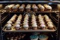cupcakes in rows viewed from within the oven Royalty Free Stock Photo