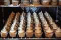 cupcakes in rows viewed from within the oven Royalty Free Stock Photo