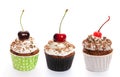 Cupcakes set Royalty Free Stock Photo