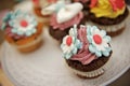 Cupcakes Royalty Free Stock Photo