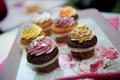 Cupcakes Royalty Free Stock Photo
