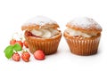 Cupcakes stuffed with white cream and wild strawberry isolated Royalty Free Stock Photo