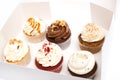 Cupcakes Royalty Free Stock Photo