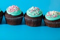Cupcakes with turquoise icing and sugar sprinkles in the form of pink hearts and stars