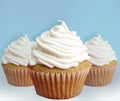 Cupcakes with vanilla buttercream frosting yummy and delicious bakery goods