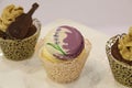 Cupcakes: vanilla, chocolate, in decorative cups Royalty Free Stock Photo