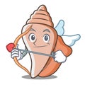 Cupid cute shell character cartoon