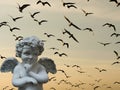 Cupid with group of bird Royalty Free Stock Photo