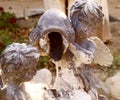 Cupid statue with water jug fountain Royalty Free Stock Photo