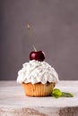 Cupkake with whipped cream decorated with strawberry on top on gray background Royalty Free Stock Photo