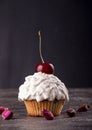 Cupkake with whipped cream decorated with sweet cherry on top. Front view Royalty Free Stock Photo