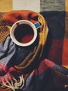 A cupo of tea in the warm blanket Royalty Free Stock Photo
