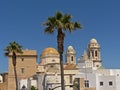 Cupola`s of the Santa Cruz cathedral of Cadiz