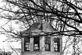 Cupola Tower Tree Branches