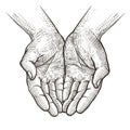 Cupped hands, folded arms sketch. Vintage vector illustration