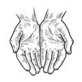 Cupped hands, folded arms sketch. Vintage vector illustration