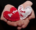 Cupped hands holding two hearts Royalty Free Stock Photo