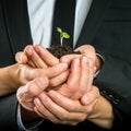 Cupped hands united to protect a green sprout