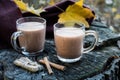 Cups of cocoa and snacks on natural wood background with autumn