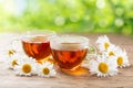 cups of herbal chamomile tea with fresh chamomile flowers Royalty Free Stock Photo