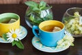 Cups of herbal tea with camomile and mint leaves Royalty Free Stock Photo