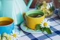 Cups of herbal tea with camomile and mint leaves Royalty Free Stock Photo