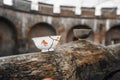 White cup on a wooden log. Ceramic glazed cup for a traditional tea ceremony.