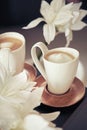 Cups of milk coffee with flowers Royalty Free Stock Photo