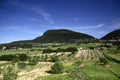 Cura Valley in Majorca Royalty Free Stock Photo